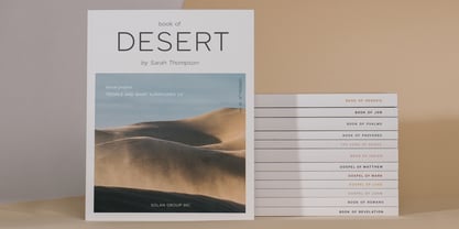 Laro Display Font Poster 12