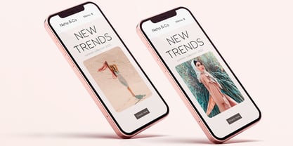 Laro Display Font Poster 8