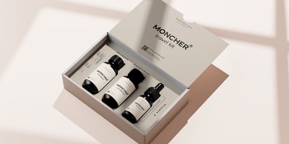 Laro Display Font Poster 6