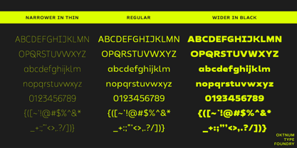 Baflion Sans Font Poster 13