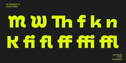 Baflion Sans Font Poster 11