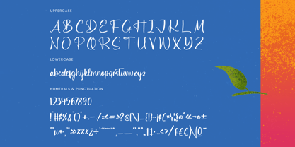 Delights Fruity Font Poster 13