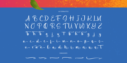 Delights Fruity Font Poster 15