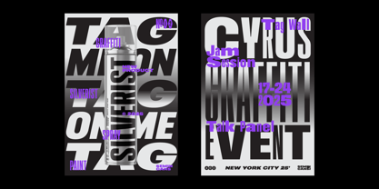 403 Vusion Font Poster 10