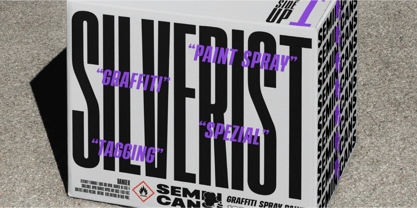 403 Vusion Font Poster 11