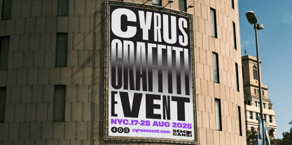 403 Vusion Font Poster 15