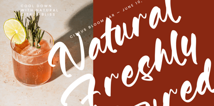 Buttons Font Poster 14