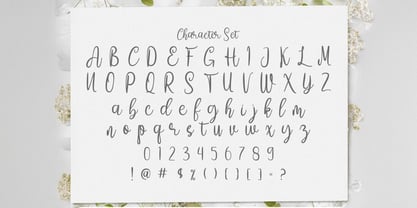 Amelia Sani Font Poster 7