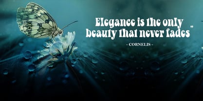 Hello Della Font Poster 3