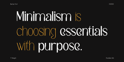 Bacley Font Poster 6