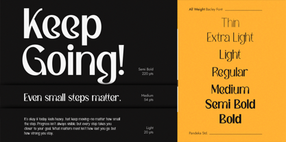 Bacley Font Poster 3