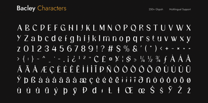 Bacley Font Poster 9