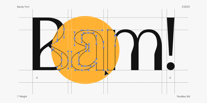 Bacley Font Poster 2