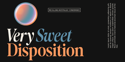 Recalling Nostalgic Font Poster 4