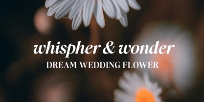 Recalling Nostalgic Font Poster 3