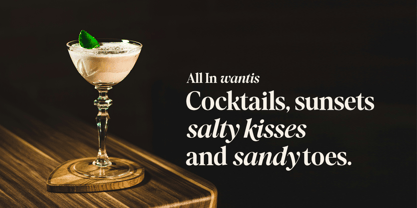 Recalling Nostalgic Font Poster 5