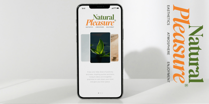 Recalling Nostalgic Font Poster 9