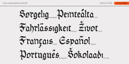 FT Lucifera Font Poster 4