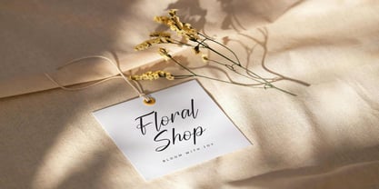 Brityna Hashim Font Poster 3