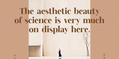 Morgie Font Poster 8