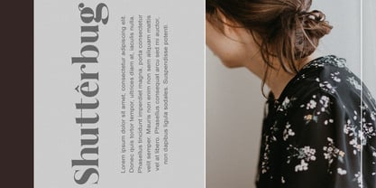 Morgie Font Poster 2