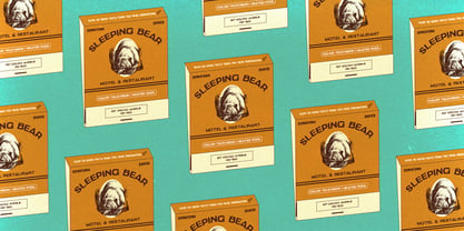 Motel Matchbook Font Poster 2