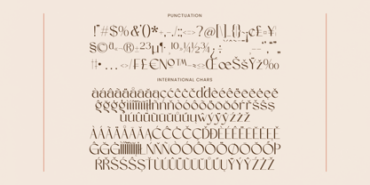 Sagira Blush Font Poster 14