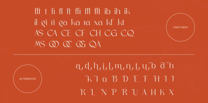 Sagira Blush Font Poster 15