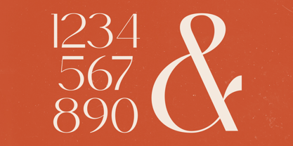 Sagira Blush Font Poster 7