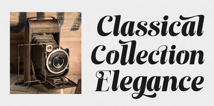 The Royals Queen Font Poster 14