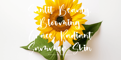 Satisfy Twisted Font Poster 13