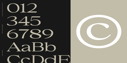 UNCMMN Stretched Font Poster 4
