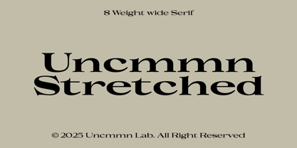 UNCMMN Stretched Font Poster 1