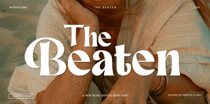 The Beaten Font Poster 1