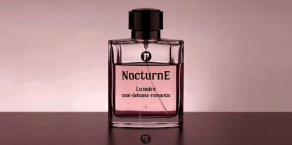 Gothess Font Poster 9