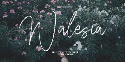 Walesia Signature Brush Font Poster 1