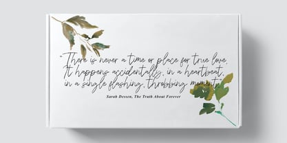 Walesia Signature Brush Font Poster 11