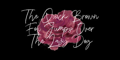 Walesia Signature Brush Font Poster 9