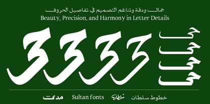 SF Mada Font Poster 11