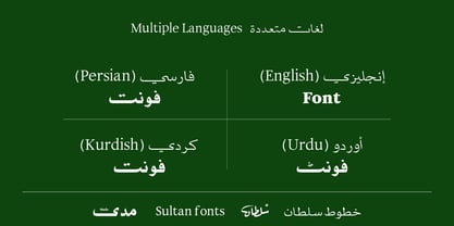 SF Mada Font Poster 14