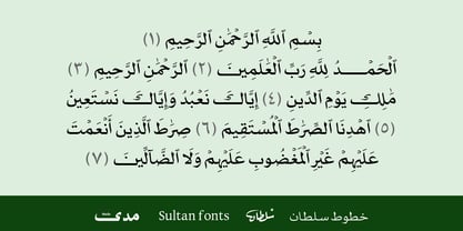 SF Mada Font Poster 15