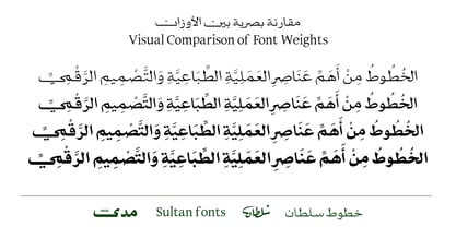 SF Mada Font Poster 3