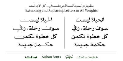 SF Mada Font Poster 13