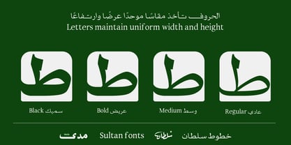 SF Mada Font Poster 4