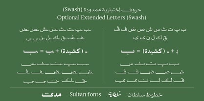 SF Mada Font Poster 8