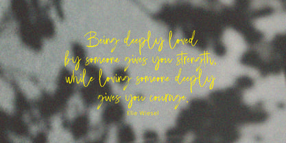 Emoray Signature Brush Font Poster 7