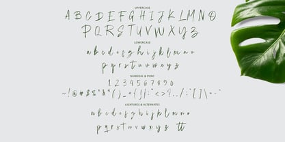 Emoray Signature Brush Font Poster 5