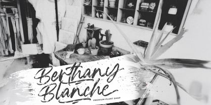 Blackwell Font Poster 3