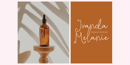 Milky Sunny Signature Font Poster 7