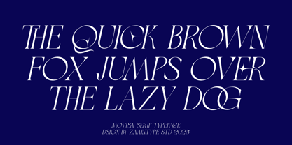 Movisa Font Poster 15